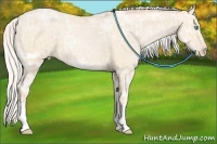 Horse Color:Silver Buckskin Ice Pearl