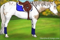 Horse Color:Palomino Ice Splash Frame Varnish