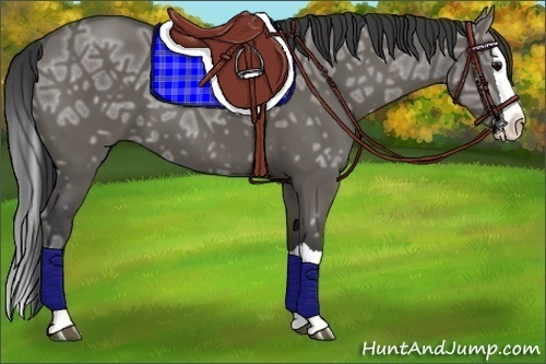 Horse Color:Grullo Ice Splash 