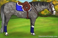 Horse Color:Grullo Ice Splash 