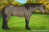 Horse Color:Brown Dun