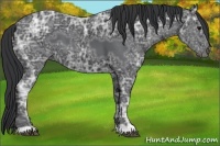 Horse Color:Black Ice 