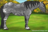 Horse Color:Black Ice 