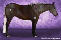 Horse Color:Midnight Silver Brown 