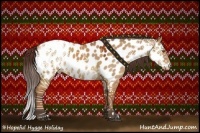 Horse Color:Bay Dun Near Leopard