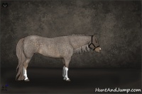 Horse Color:Chocolate Palomino Roan