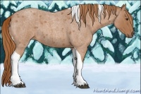 Horse Color:Red Roan Tobiano 