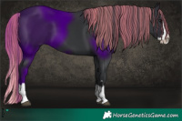 Horse Color:Painted Black Splash 