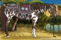 Horse Color:Liver Chestnut Near Leopard 