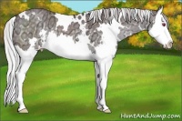 Horse Color:White Spotted Chocolate Silver Black Chinchilla Ice Splash 