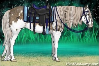 Horse Color:White Spotted Chocolate Palomino Splash 