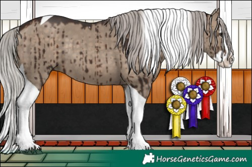 Horse Color:Silver Brown Dun Splash Tobiano Rabicano Brindle 