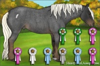 Horse Color:Liver Red Roan 