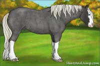 Horse Color:Liver Red Roan Splash