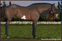 Horse Color:Brown Frame 