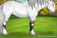 Horse Color:White Spotted Silver Brown Chinchilla Dun 