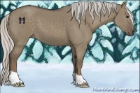 Horse Color:Silver Smoky Grullo 
