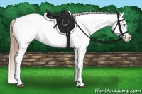Horse Color:Red Roan Near Leopard