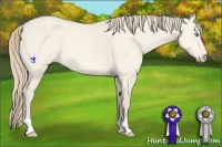 Horse Color:Perlino Dun 