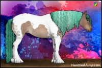 Horse Color:Painted Brown Roan Dun Tobiano 