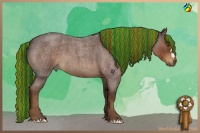 Horse Color:Painted Liver Red Roan 