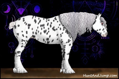 Horse Color:Silver Black Chinchilla Sabino Near Leopard 