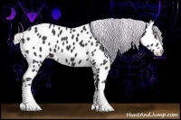 Horse Color:Silver Black Chinchilla Sabino Near Leopard