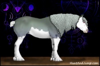 Horse Color:Silver Brown Chinchilla Sabino Splash 