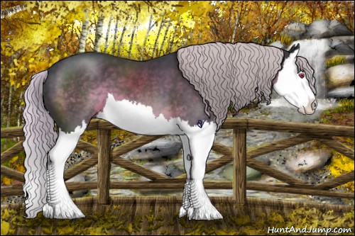 Horse Color:Silver Black Chinchilla Sabino Splash 