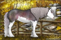 Horse Color:Silver Black Chinchilla Sabino Splash
