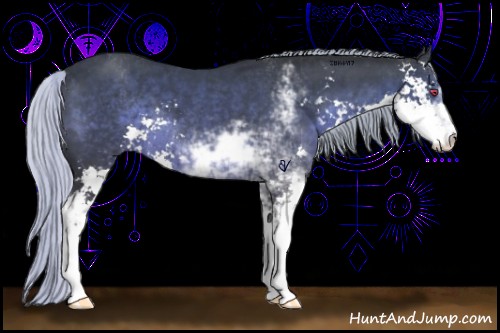 Horse Color:Silver Black Chinchilla Sabino 