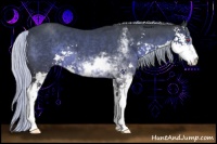 Horse Color:Silver Black Chinchilla Sabino 