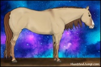 Horse Color:Red Dun Splash 