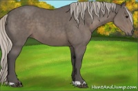 Horse Color:Silver Black 