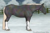 Horse Color:Midnight Perlino Ice 