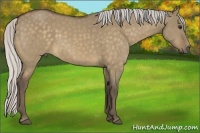 Horse Color:Silver Buckskin Dun 