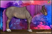 Horse Color:Painted Liver Red Roan 