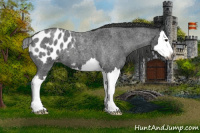 Horse Color:Gray Smoky Blue Chinchilla Roan Splash Blanket 
