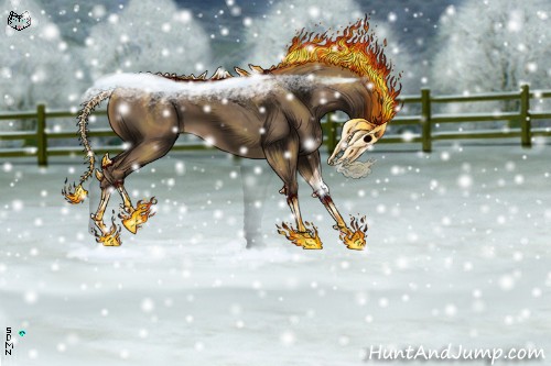 Horse Color:Chocolate Palomino 