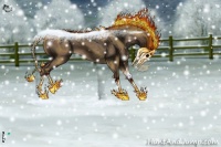 Horse Color:Chocolate Palomino 