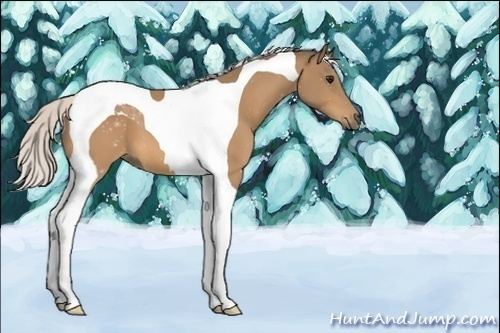 Horse Color:Silver Buckskin Tobiano 