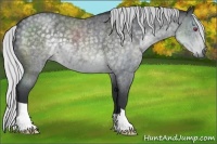 Horse Color:Silver Blue Chinchilla Roan 