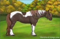 Horse Color:Liver Chestnut Tobiano