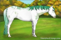 Horse Color:Watercolor Brown Ice Sabino Splash Frame Varnish 