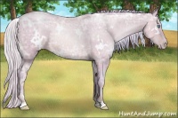 Horse Color:Watercolor White Spotted Chocolate Silver Sable Champagne Ice Pearl 