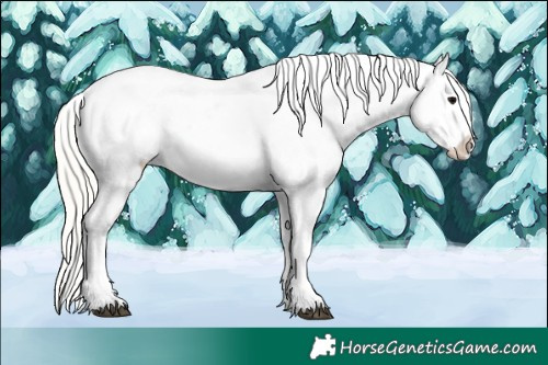 Horse Color:Midnight Silver Black Ice Sabino Splash Tobiano Varnish