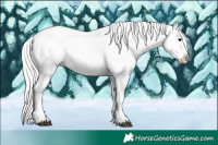 Horse Color:Midnight Silver Black Ice Sabino Splash Tobiano Appaloosa 