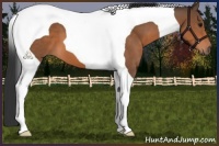 Horse Color:Bay Tobiano 