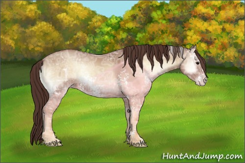 Horse Color:White Spotted Classic Champagne Ice Onyx 
