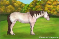 Horse Color:White Spotted Classic Champagne Ice Onyx